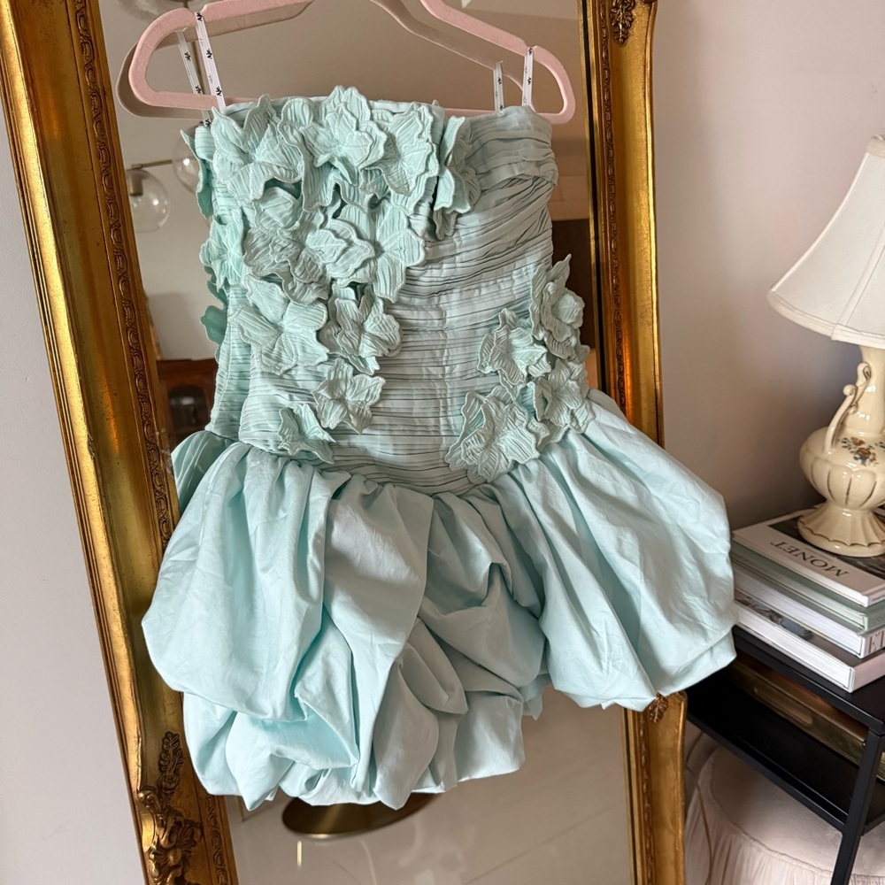 Aje Splendour Mini Dress - Picture 12 of 14